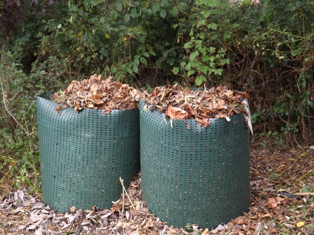 The Secret Garden Blog Online Garden Centre in Ireland, Irish