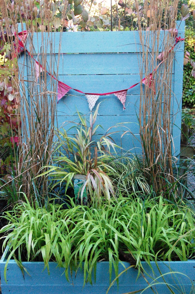 The Secret Garden Blog Online Garden Centre in Ireland, Irish