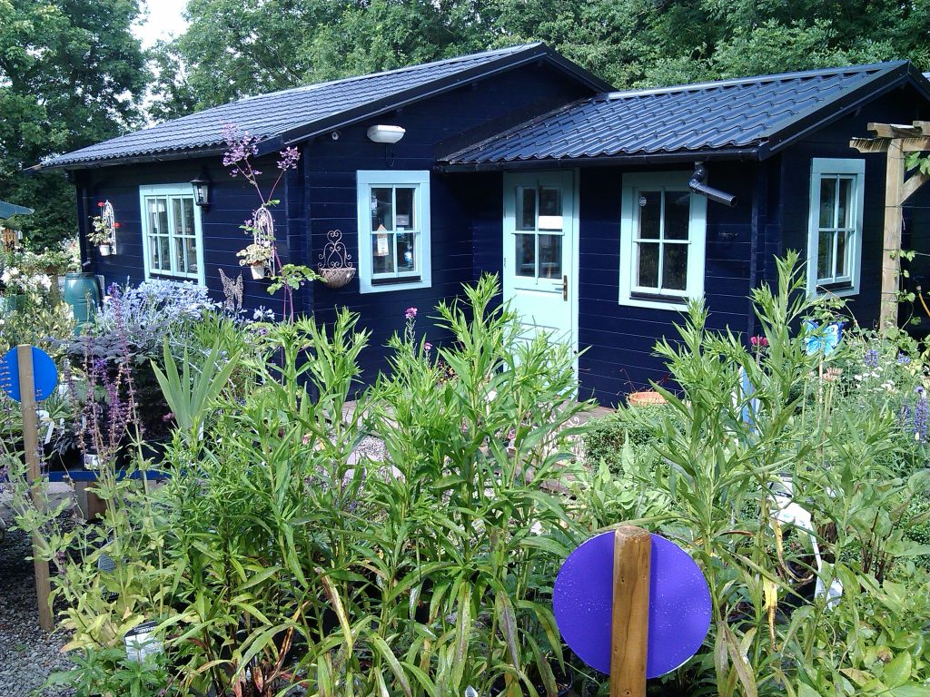 blue-shed